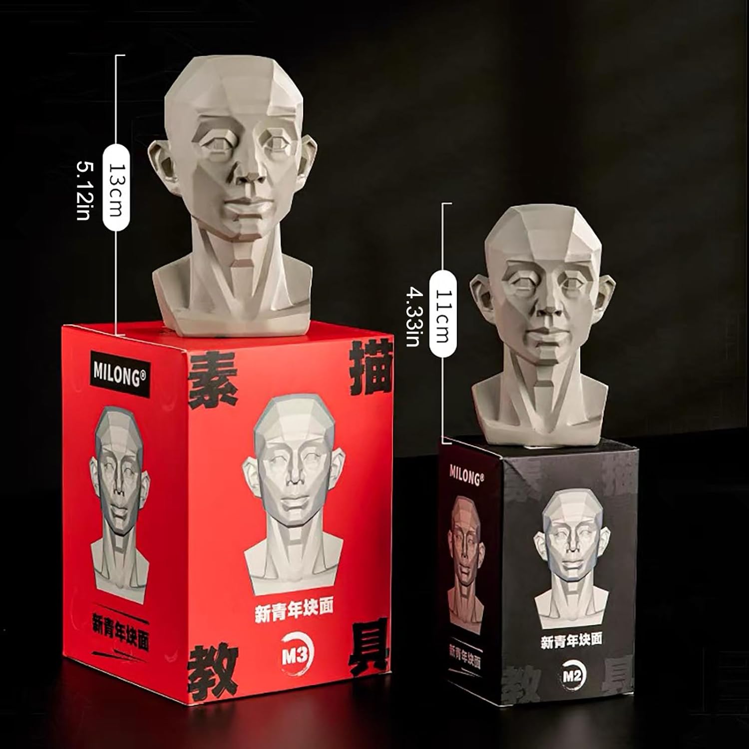Generic Planar Head Model for Artists and Medical Use