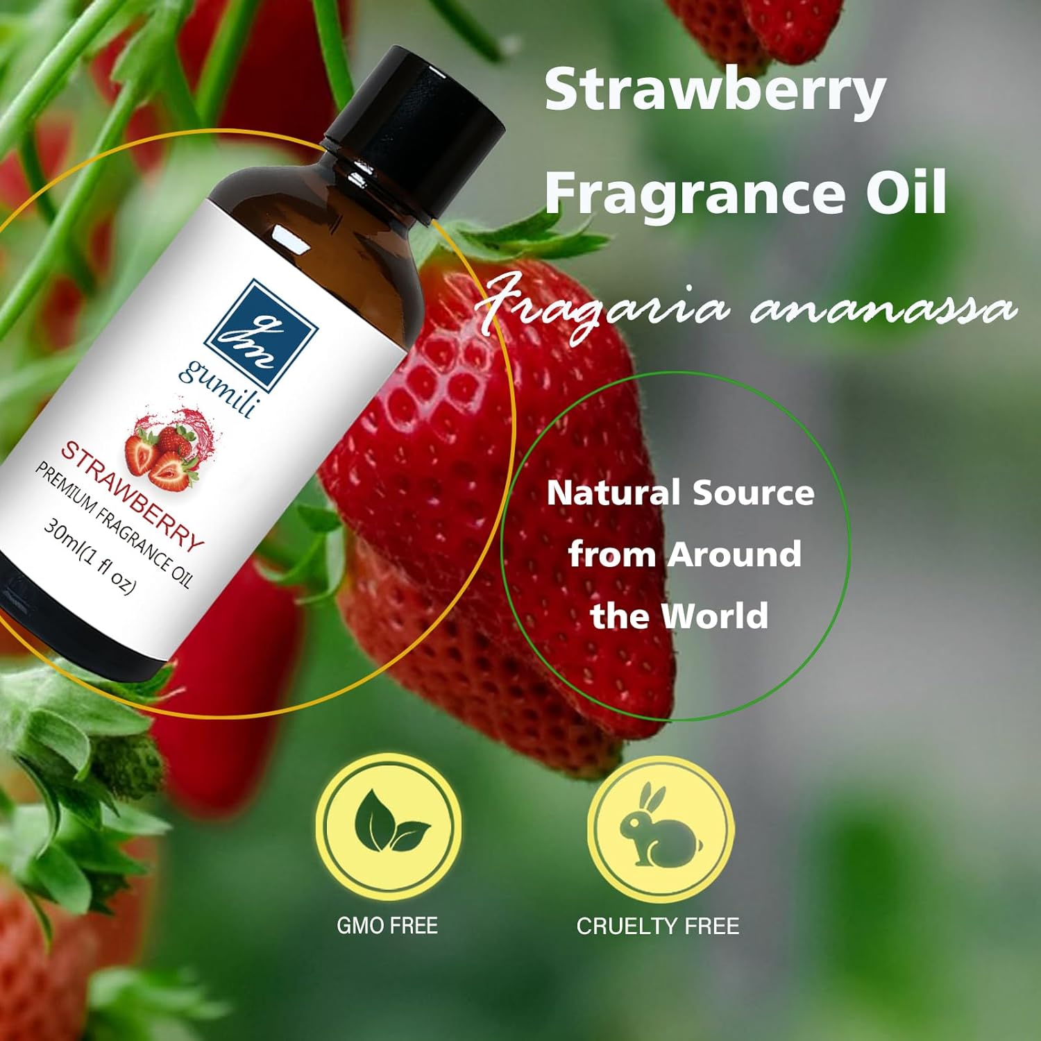 Strawberry Fragrance Oil - 1 oz for Candles Soaps Diffusers