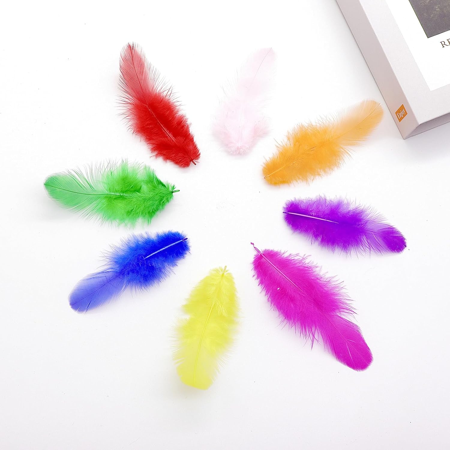 800Pcs Colorful Craft Rooster Feathers 3-5 Inch