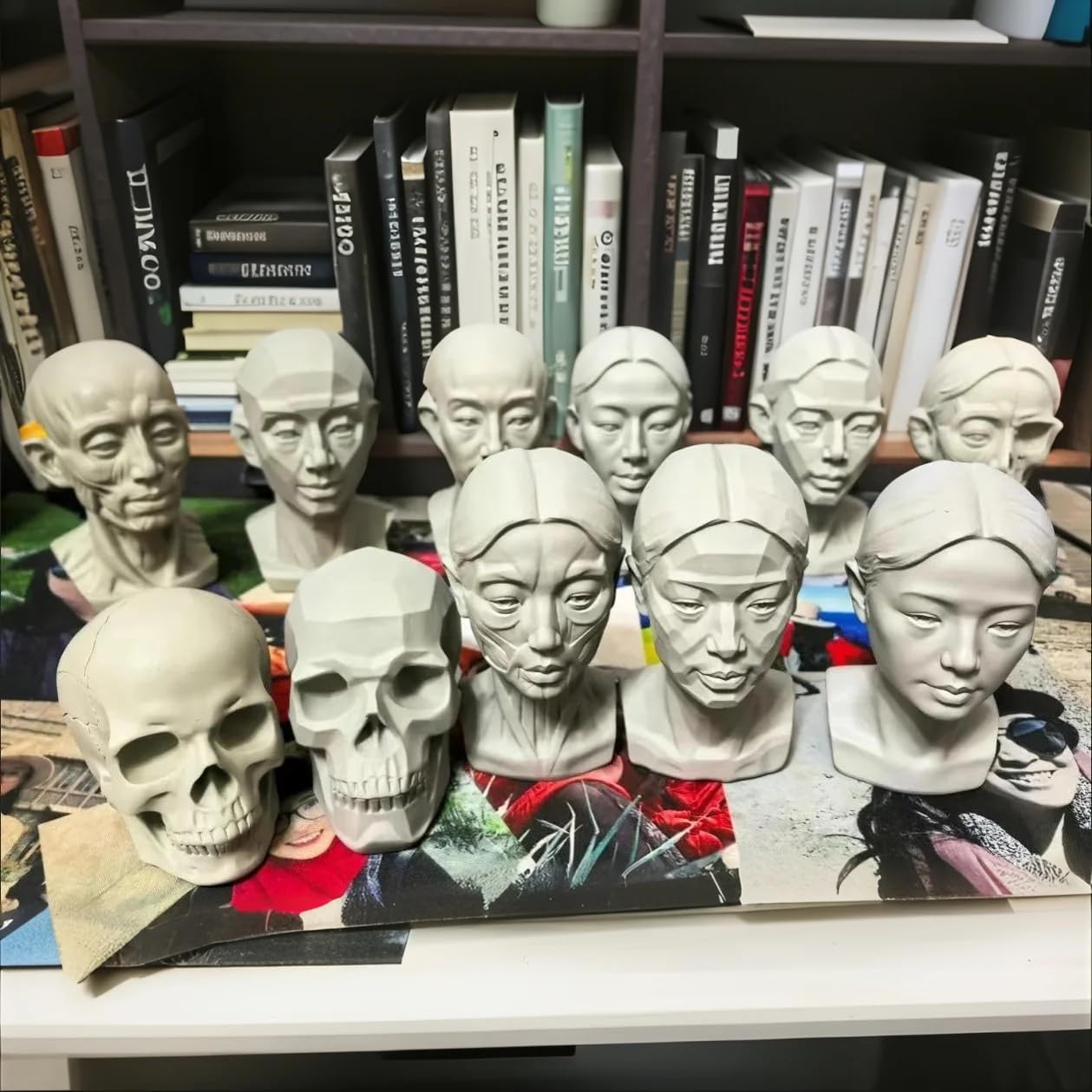Female Planar Head Model for Drawing Art
