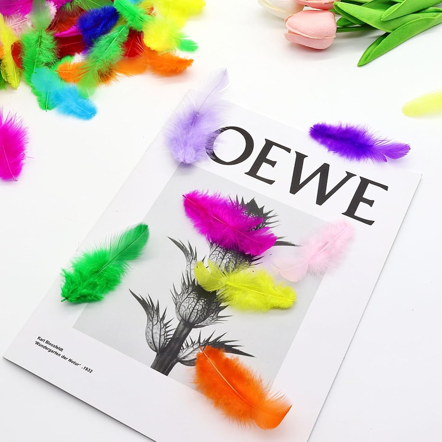 800Pcs Colorful Craft Rooster Feathers 3-5 Inch