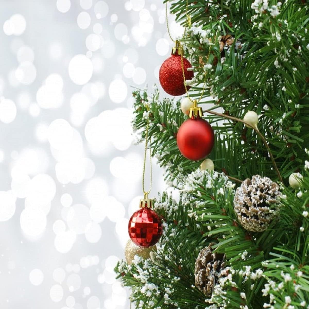 Christmas Pine Fragrance Oil 16 oz for Candles Soap Diffusers