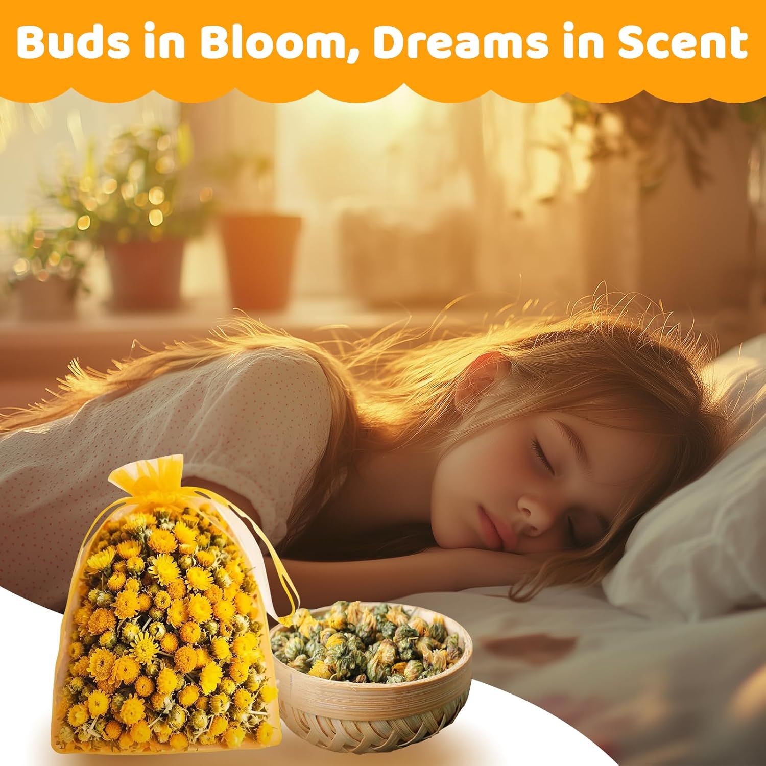 Sukh Dried Fetus Chrysanthemum Natural Dried Flowers for Candle Soap Bomb Making