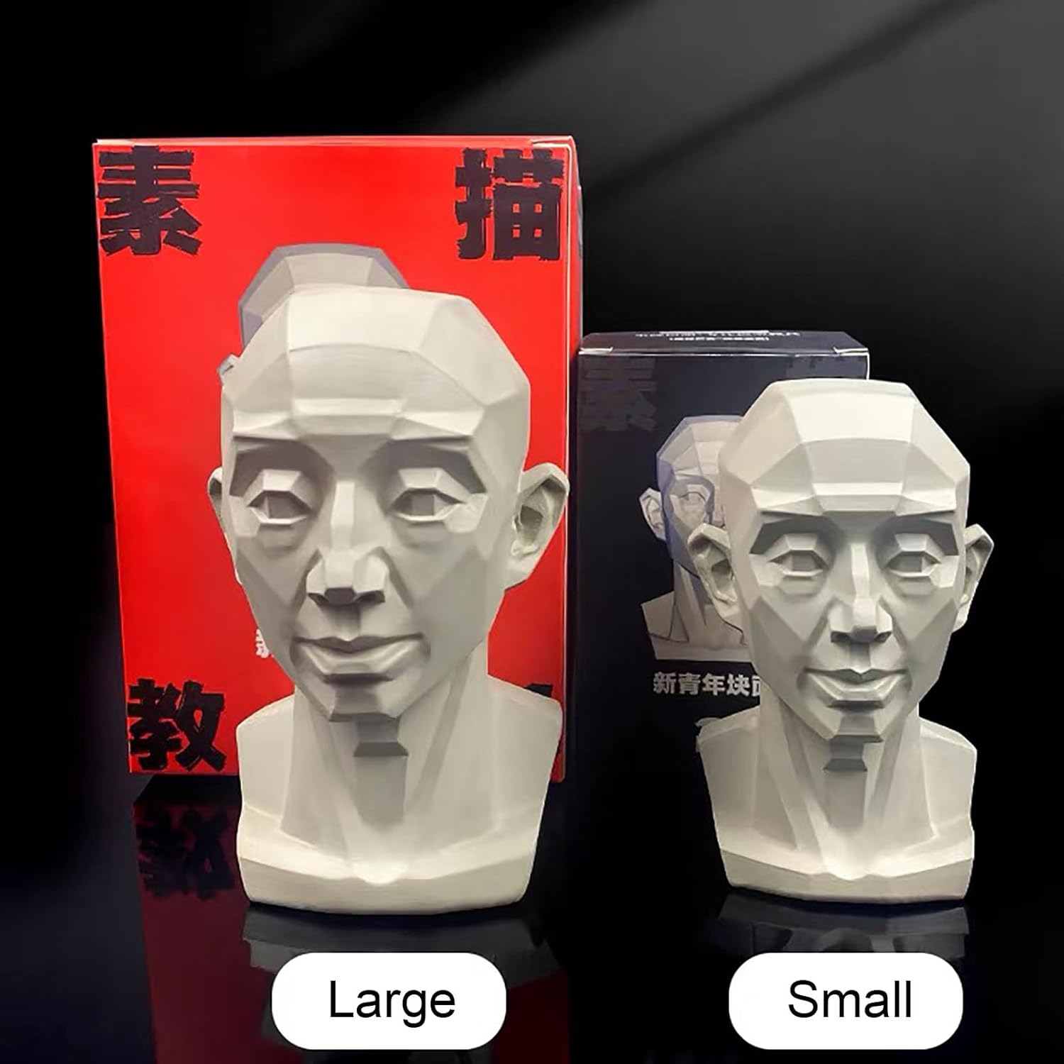 Generic Planar Head Model for Artists and Medical Use