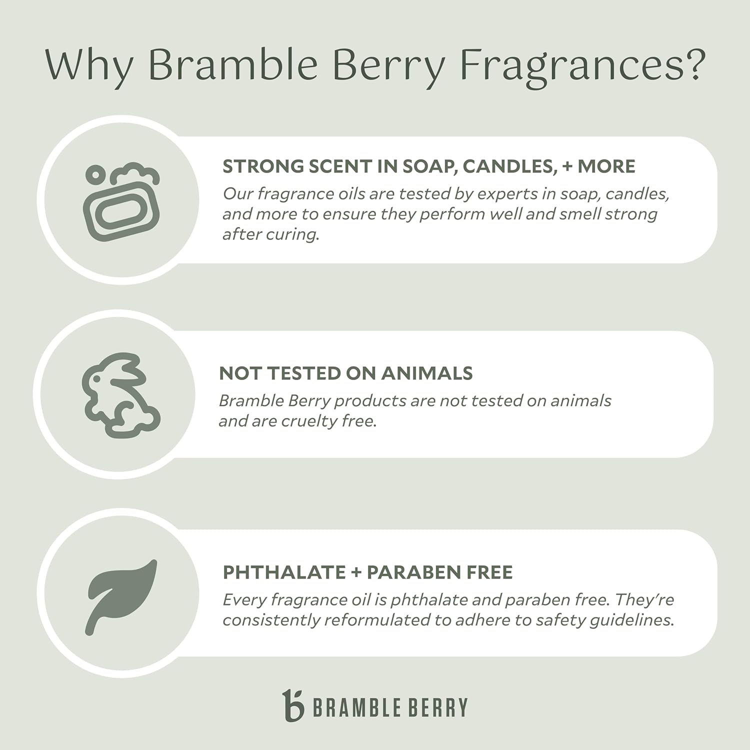 Bramble Berry Cashmere Fragrance Oil 2 Fl Oz