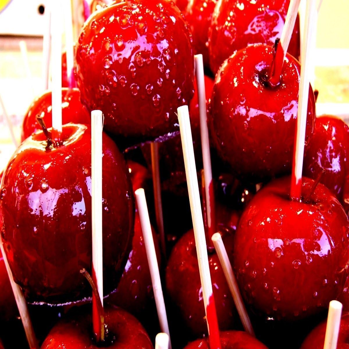 Winter Candied Apple Fragrance Oil 16 oz Bottle