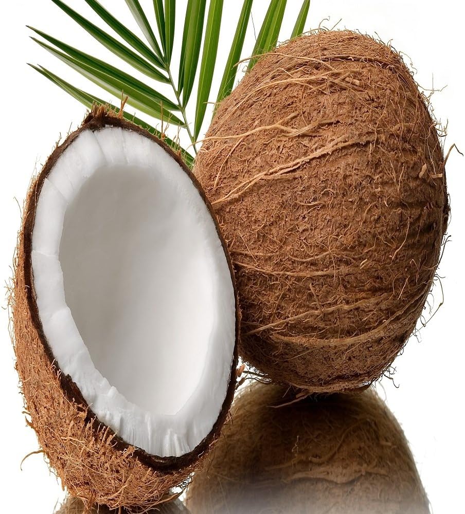 Caribbean Coconut Fragrance Oil 16 oz for Candle Making
