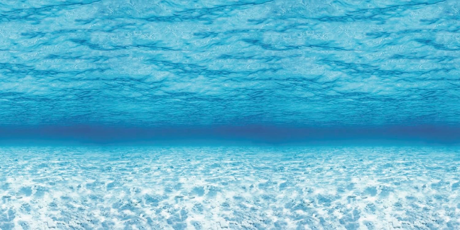 Fadeless Bulletin Board Paper 48 x 12 Under the Sea 1 Roll