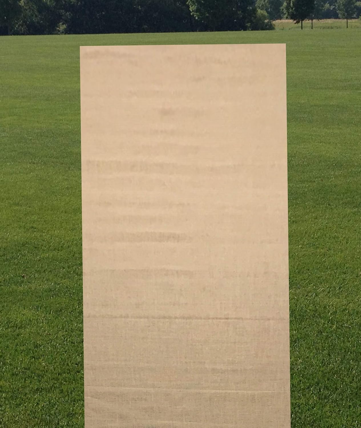 AAYU Jute Burlap Aisle Runner Roll 34x60ft