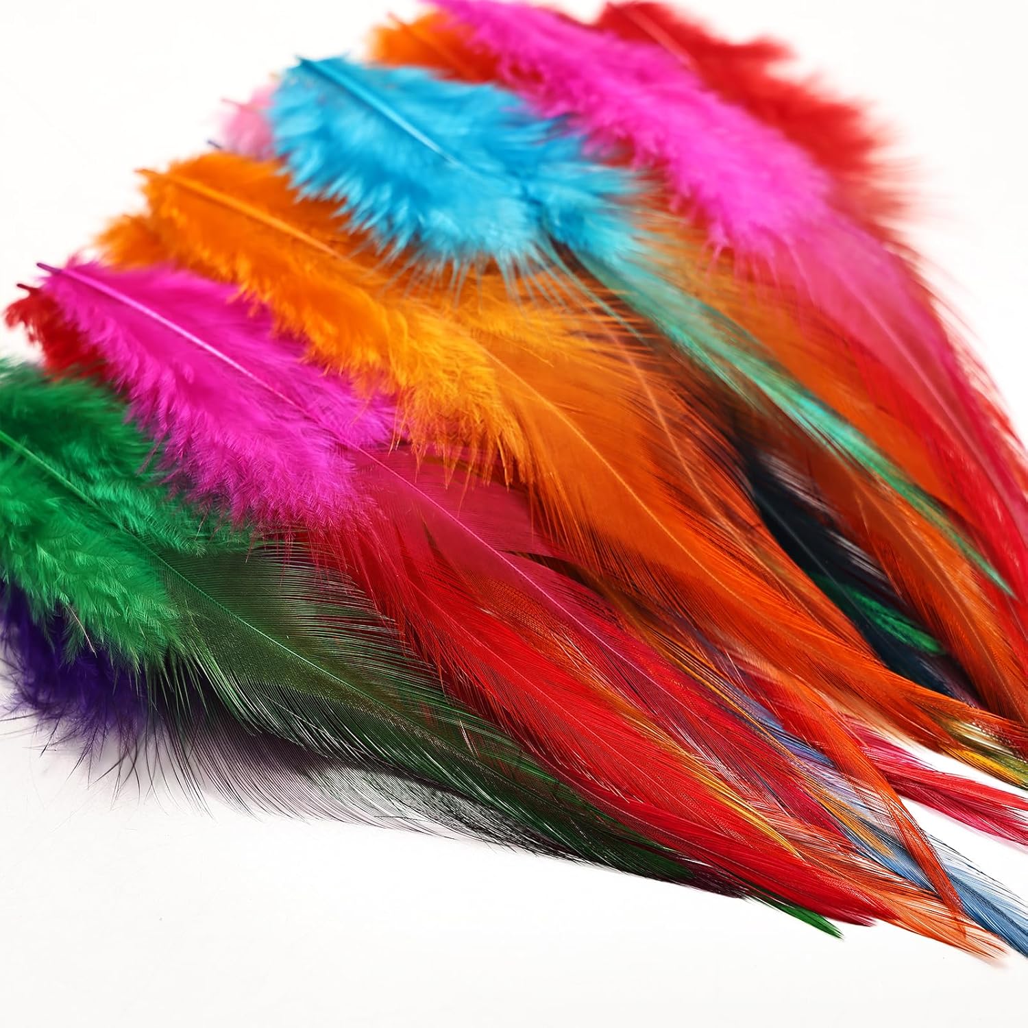 240pcs Colorful Rooster Feathers for Crafting