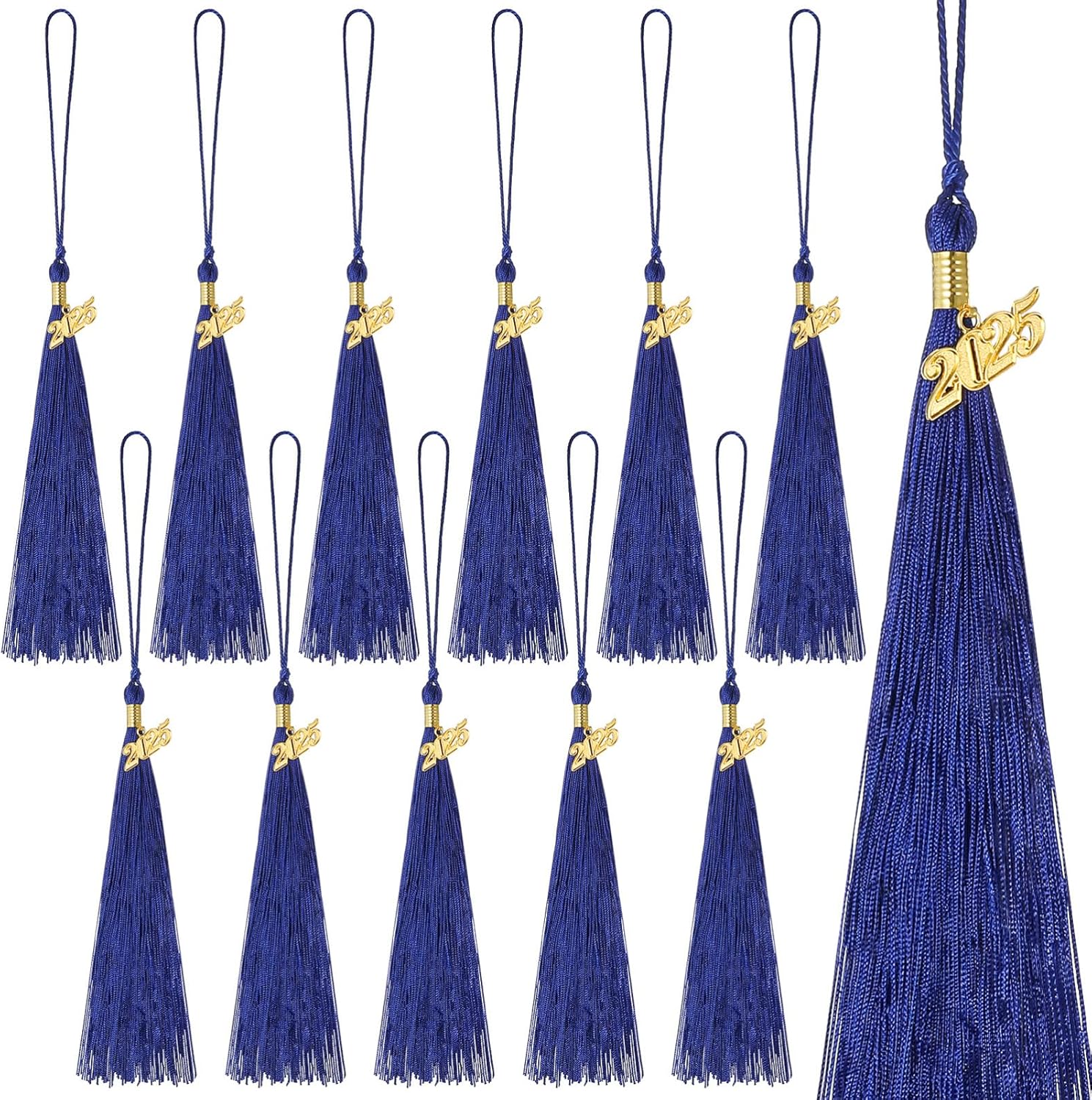 2025 Graduation Tassel Set 12pcs with Gold Charm