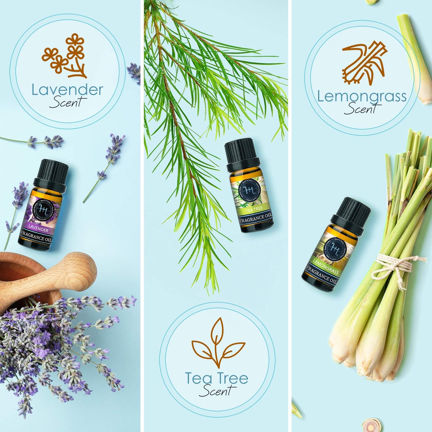 Hearth Harbor Premium Fragrance Oil Set of 6