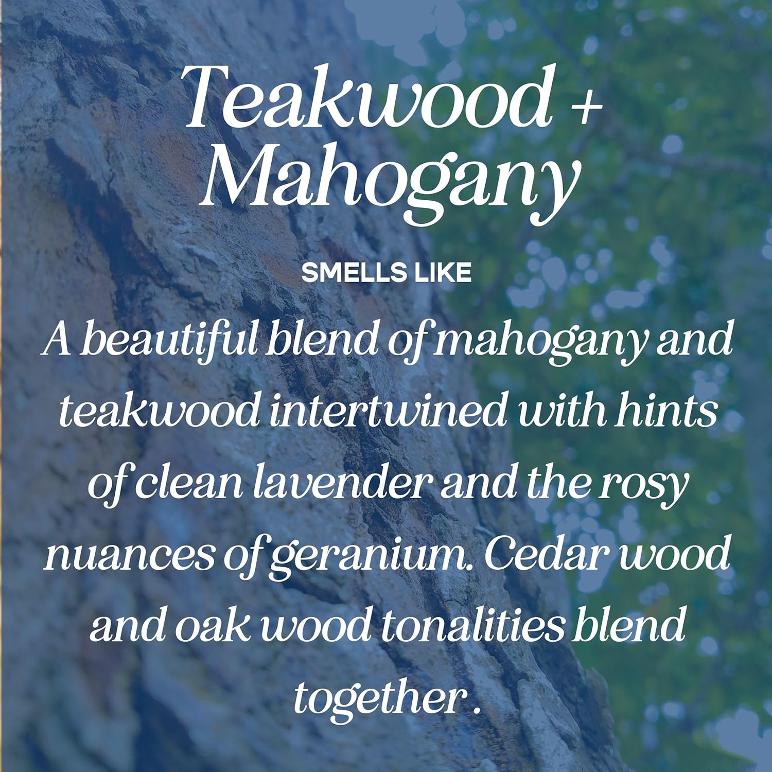 CANDECraftCo Premium Fragrance Oil 2-Pack Teakwood Mahogany